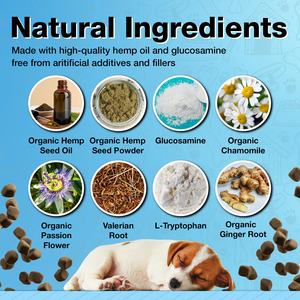 Friandises apaisantes pour chiens, marque privée OEM/ODM, favorisant la relaxation et le soulagement de l'anxiété, compléments alimentaires pour animaux de compagnie - Product Image 4