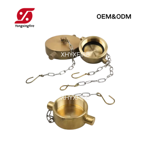 Prix de gros Norme américaine Raccords NPT/NH de 1,5 pouce, Bouchon aveugle en laiton NH de 2,5 pouces pour hydrant d'incendie, Cache d'hydrant d'incendie en laiton - Product Image 4