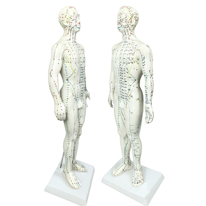 Offre Spéciale modèle d'<span class=keywords><strong>acupuncture</strong></span> chinois 50cm modèle d'<span class=keywords><strong>acupuncture</strong></span> masculine modèle d'<span class=keywords><strong>acupuncture</strong></span> méridiens humains pour l'enseignement et l'apprentissage - Product Image 2