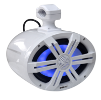 Nouveauté DIBEISI haut-parleur de tour marine étanche IP65 6*9 pouces avec lumière rvb Yacht bateau haute puissance 300W Wakeboard DBS6969