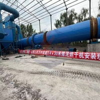 Sécheur à tambour pour boues de charbon d'usine de briquettes, adaptabilité à charge lourde pour le traitement des minerais