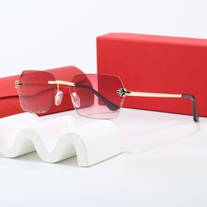 Occhiali da Sole Senza Montatura Quadrati Classici di Alta Qualità per Uomo e Donna, Design Personalizzato con Logo, Moda 2026 - Product Image 4