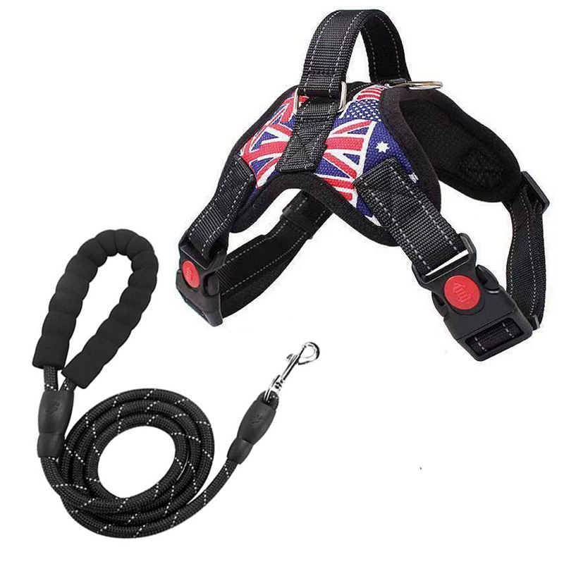 Miqi [single vest + 1.5m reflective straps]