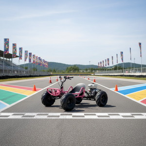 <span class=keywords><strong>Kart</strong></span> Fuoristrada per Adulti 212CC 4 Tempi a Benzina, per Rally e Corse, Quad per Tutti i Terreni, Moto da Spiaggia, <span class=keywords><strong>Go</strong></span>-<span class=keywords><strong>Kart</strong></span> da Montagna per Drifting - Product Image 6