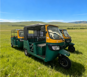Tuk Tuk <span class=keywords><strong>Taxi</strong></span> à prix chinois très demandé, tricycle électrique 3000W, tricycle à passagers, pousse-pousse électrique - Product Image 2