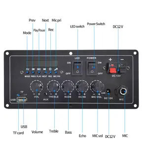 Support Custom 2CH Power Amp Board with FM BT audio plastic portable speaker cheap 12V Karaoke Power Amplifier Board