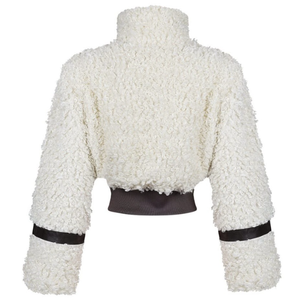 Winter Nieuwe Aanwinst Dames Kunstbont Korte Casual Jas met Polyester Voering Fleece Voering Omgeslagen Kraag Ritsjas - Product Image 5