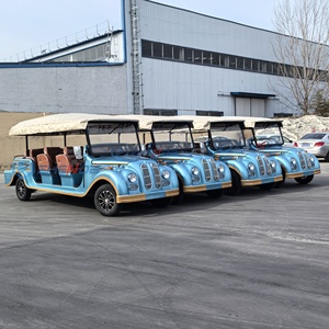 Pièces de voiture classiques électriques vintage de haute qualité à prix d'usine pour adultes, vente en gros - Product Image 3