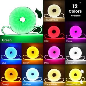 2025 nuevo Hengyu a la venta 5M 6x12mm 8x16mm luz <span class=keywords><strong>de</strong></span> neón 12V tira <span class=keywords><strong>de</strong></span> neón Rgb <span class=keywords><strong>de</strong></span> un solo Color silicona Pvc Led Flex señal <span class=keywords><strong>de</strong></span> neón Luz - Product Image 4