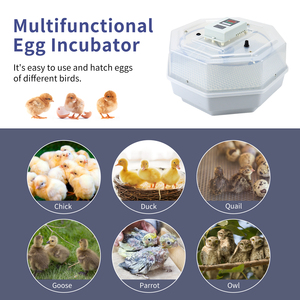 Incubateur d'oeufs de poulet d'oeufs et machine d'éclosion - Product Image 5