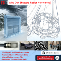 Volets roulants anti-ouragan Bolang en aluminium, télécommandés, électriques, isolés, insonorisants, robustes pour maison