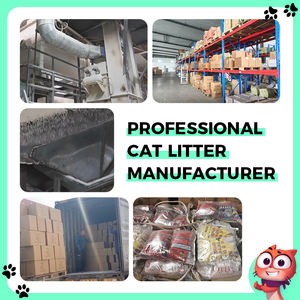 OEM الفلبين ماليزيا متعددة العطور خالية من الغبار قوية تتكتل الساحة بارا جاتوس الكرة على شكل بنتونيت - Product Image 5