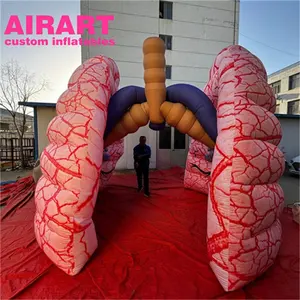 Hot Product Inflatable Lung Model Cheap Inflatable Lung For Advertising Decoration