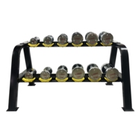 WENDY - Juego de Mancuernas de Alta Calidad de 60 kg para Entrenamiento Físico, Pesas de Gimnasio para Desarrollo Muscular, Mancuernas Cromadas Electrochapadas