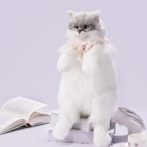 Mochila de Gato Degradado, Bolso de Hombro de Simulación, Muñeco de Peluche, Regalo de Cumpleaños, <span class=keywords><strong>Chinchilla</strong></span> - Product Image 1