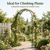 Arche de jardin en fer thermolaqué noir, treillis métallique, support pour roses grimpantes, résistant à la rouille, support pour plantes, décoration de mariage en extérieur