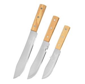 Cuchillo de cocina DF326 personalizado de 6, 7 y 8 pulgadas para frutas, con mango de madera - Product Image 1
