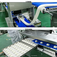 Machine à pain vapeur électrique entièrement automatique 6000-7000 pièces/h en acier inoxydable pour la fabrication de momos chinois