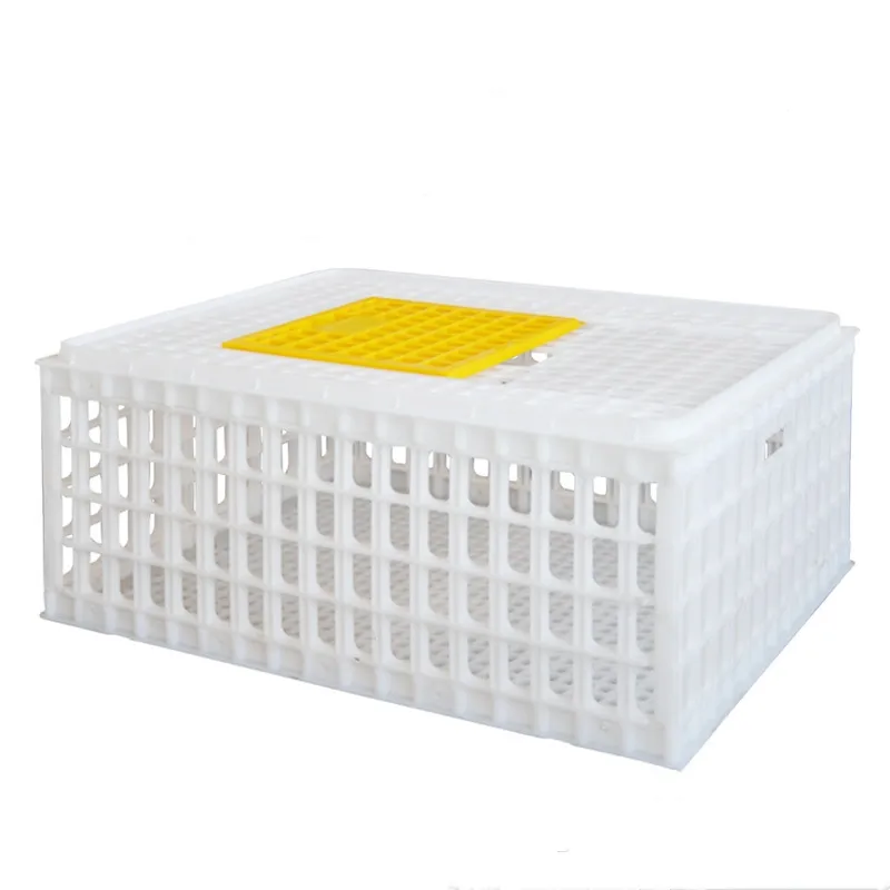 Transportador de aves dobrável, plástico engrossado, crate 29 ''l x 22" w x 12 "h para galinhas