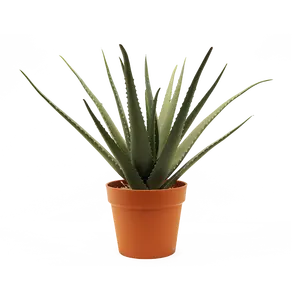 High Quality In Stock Cheap Price Artificial Plants Artificial Aloe vera in Plastic Pot