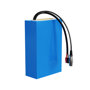 แบตเตอรี่ลิเธียมแบบแท่งปริซึม EU Stock 48V 24Ah, 13s7p 50Ah เซลล์ LG พร้อม BMS 50A และปลั๊ก XT60 4A สำหรับจักรยานไฟฟ้า - Product Image 1
