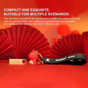   Memoria USB DTSE con Diseño de Anillo Colgante, Aleación de Zinc, USB 3.2, 220MB/s - Product Image 5