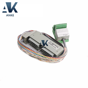 Conjunto de Cable de Terminación Foxboro FBM3A/33A P0500RU - Product Image 2