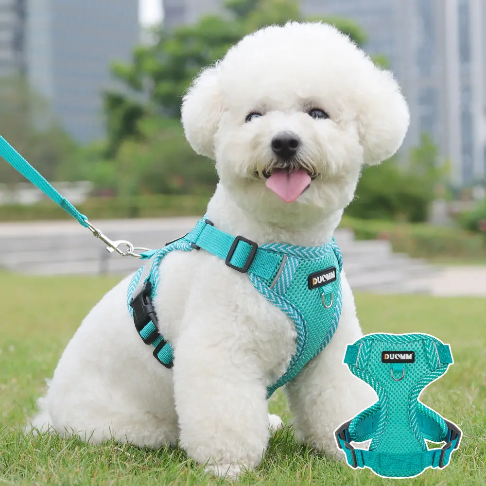 New arrival Reflective breathable pet leash breathable printed dog leash Classic style for all puppies