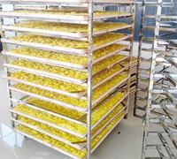 Industriële dehydrator met grote capaciteit, multifunctioneel, voor okra, gember en andere voedingsmiddelen, inclusief droogrekken.