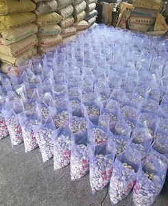 Bán buôn tự nhiên trắng bãi biển sỏi và Oval <span class=keywords><strong>Cobble</strong></span> đá cho thiết kế cảnh quan - Product Image 5