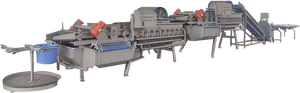 Máquina Industrial para Lavar Hojas de Ensalada 500kg/h - Product Image 5