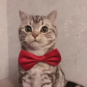 ربطات عنق للحيوانات الأليفة صديقة للبيئة من القماش الصيفي، تصميم صلب اللون للجراء والكلاب، زينة للحيوانات الأليفة بتصميم حيواني للقطط والكلاب - Product Image 6