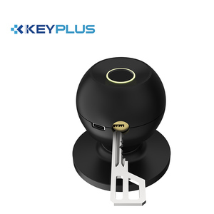 Keyplus High Security Home Smartphone Tuya Wifi Biometric Fingerprint Unlock <b>Smart</b> Door <b>Lock</b> D-L10F High Security <b>Smart</b> <b>Lock</b> - Product Image 2