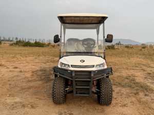 Chất lượng cao Bốn bánh xe Golf giỏ hàng năng lượng mới quản lý khóa học Golf sự kiện thân thiện với môi Giao thông vận tải trên bán - Product Image 6