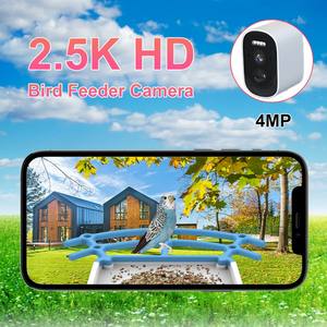 Goedkope automatische slimme vogelvoeder met camera, zonne-energie oplaadbaar, AI-identificatie, eekhoornbestendig, nachtzicht, app-besturing - Product Image 5
