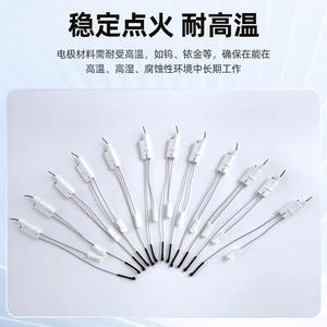 Electrodo de Encendido Rongtai 10x100mm de Acero Inoxidable, Repuesto para Quemador de Gas para Calderas - Product Image 4