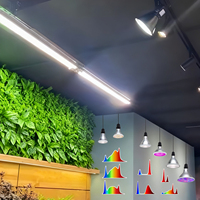Ampoule LED de culture Liweida 7/12/15/18/20W, spectre complet, spot, Par20, Par30, Par38, lampe pour plantes verticales, fougères, mur