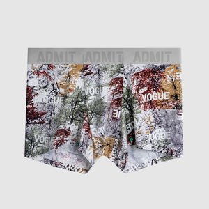 पुरुषों के आरामदायक नरम नायलॉन अंडरपैंट शॉर्ट्स, पुरुषों की लंबे आकार की हॉट बिक्री मुक्केबाज पुरुष पैंटी शॉर्ट्स अंडरवियर - Product Image 4