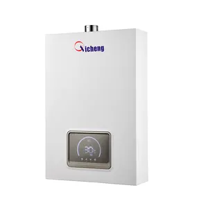 Nieuw Product Hoge Kwaliteit Goedkope Prijs 16 Liter Gasboiler Met Constante Temperatuur