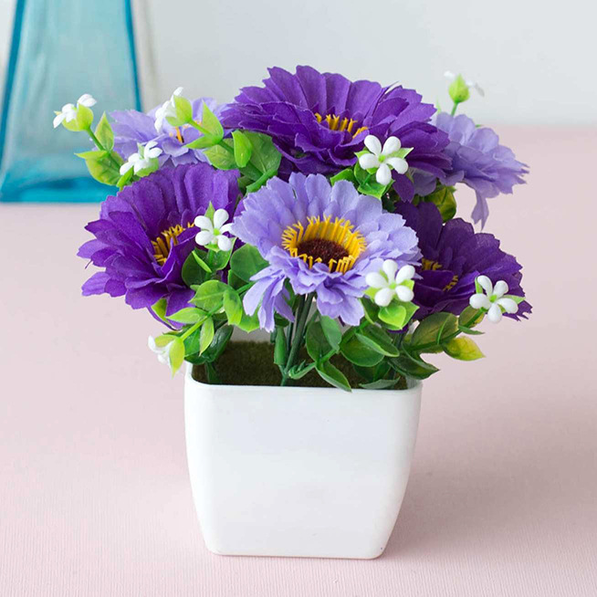 Chrysanthème violet (avec bassine)
