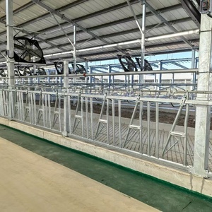 Dispositivo di Bloccaggio del Collo per Bestiame Regolabile con Posizionamento Flessibile per Gestione e Contenimento di Mucche, Vitelli e Bovini Adulti in Fattoria - Product Image 3