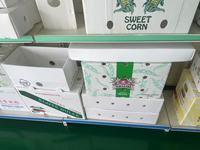 Caja de conservación de transporte de plátano de bambú de plástico PP reciclable con tabla de cortar de hojas para carne, verduras, huevos, semillas, alimentación