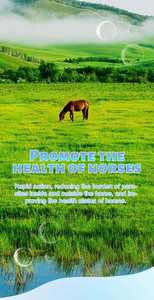 Suplemento de diferentes sabores con logotipo personalizado OEM para suplemento de Salud de caballo con desparasitación - Product Image 2