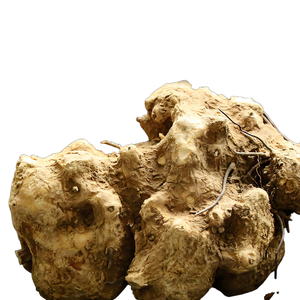 Poudre d'extrait d'Ubi <span class=keywords><strong>Jaga</strong></span> pure naturelle de haute qualité 10:1, poudre hydrosoluble Wubijiage, extrait végétal de qualité alimentaire en provenance de Chine - Product Image 2