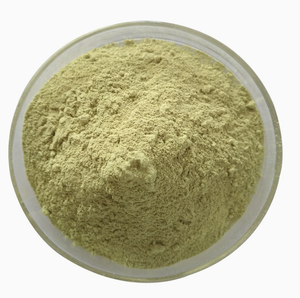 Estratto in Polvere di Saponine Erboristiche di Gynostemma Pentaphyllum 10:1 di Grado Alimentare - Product Image 6