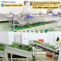 Baiyu Automatische Fruit Blancheringsmachine voor Appel- en Perzikverwerkingsfabriek met Continu Verwarmingssysteem