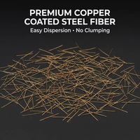Fibres d'acier renforcées durables, anti-corrosion, résistantes au feu, matériaux de construction pour le revêtement de tunnels et les poutres en fibre d'acier