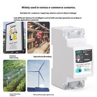 Commutateur de télécommande intelligent WiFi 63A 220V Mini plastique avec protection LI