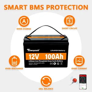 Density 12v 24v 36v 48v 400ah 300Ah 200ah 150ah 100ah 50ah LiFePO4 Battery Pack For Solar System