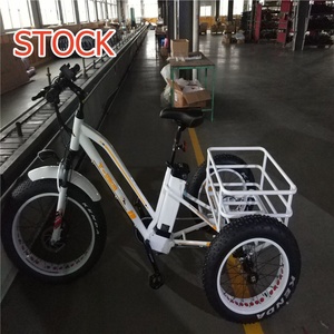 En Stock Triciclo Eléctrico <span class=keywords><strong>de</strong></span> Neumáticos Anchos <span class=keywords><strong>de</strong></span> 20/24 Pulgadas, 750W, <span class=keywords><strong>para</strong></span> Adultos, con Cesta Trasera y <span class=keywords><strong>Caja</strong></span> <span class=keywords><strong>de</strong></span> <span class=keywords><strong>Carga</strong></span> <span class=keywords><strong>para</strong></span> Entregas y Actividades al Aire Libre - Product Image 5